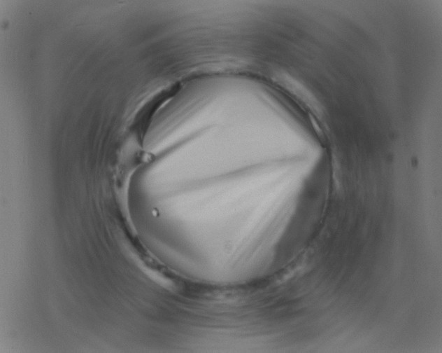 X0000077370105200611101714