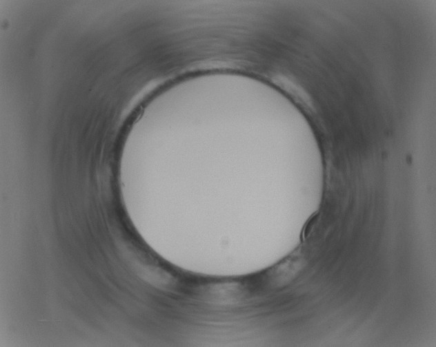 X0000077370108200611101714