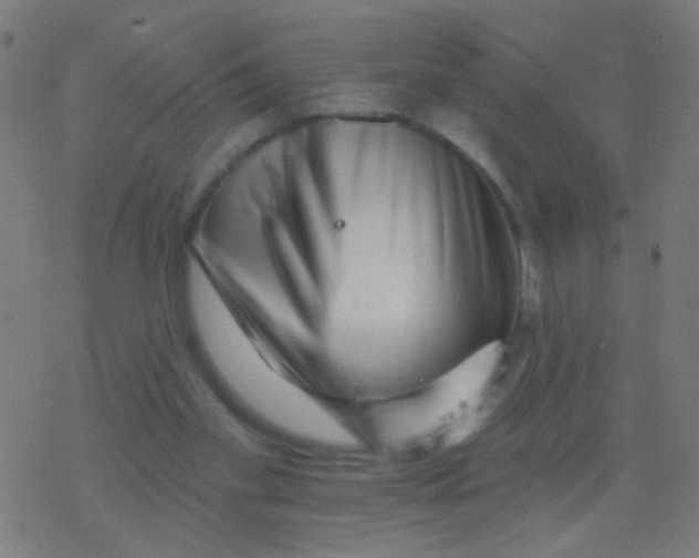 X0000077370109200611101714