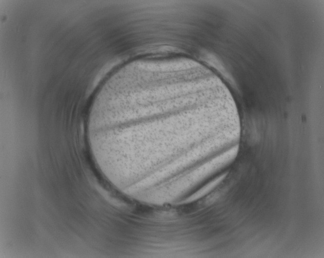 X0000077370110200611101714