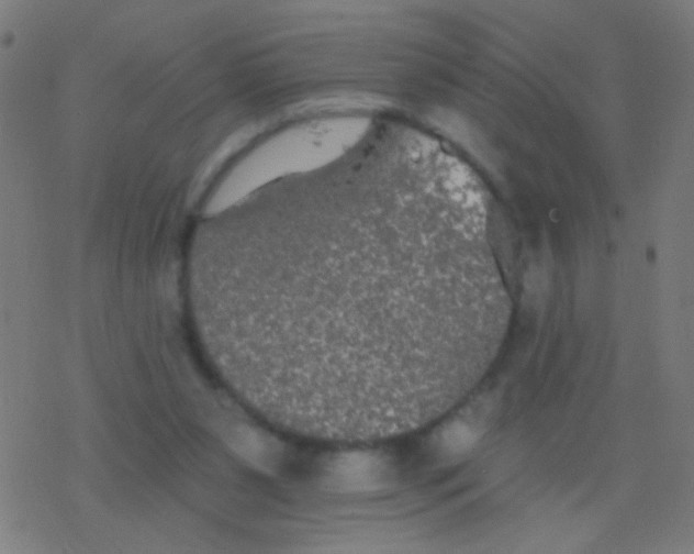 X0000077370111200611101714