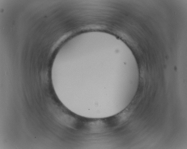 X0000077370112200611101714