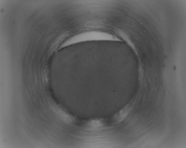 X0000077370114200611101714