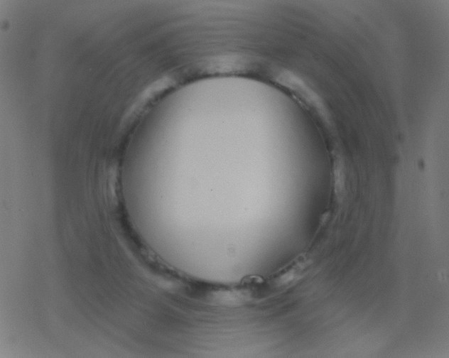 X0000077370115200611101714