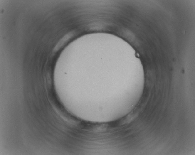 X0000077370116200611101714