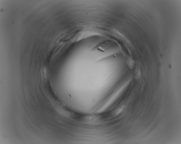 X0000077370117200611101714