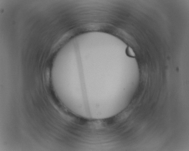 X0000077370118200611101714