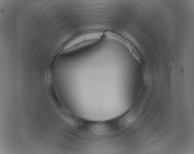 X0000077370119200611101714