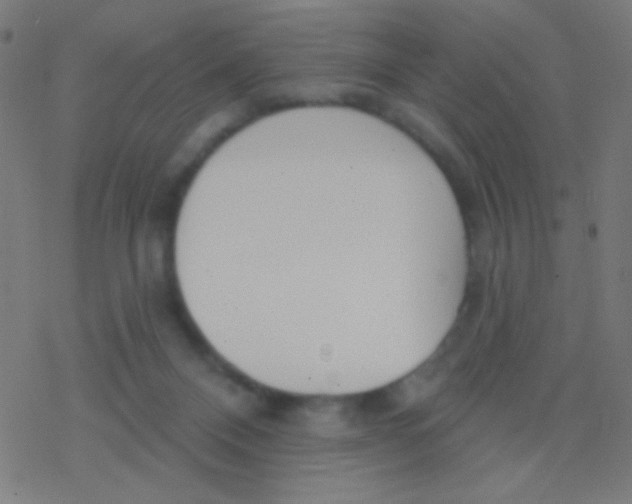 X0000077370120200611101714