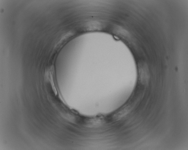 X0000077370123200611101714