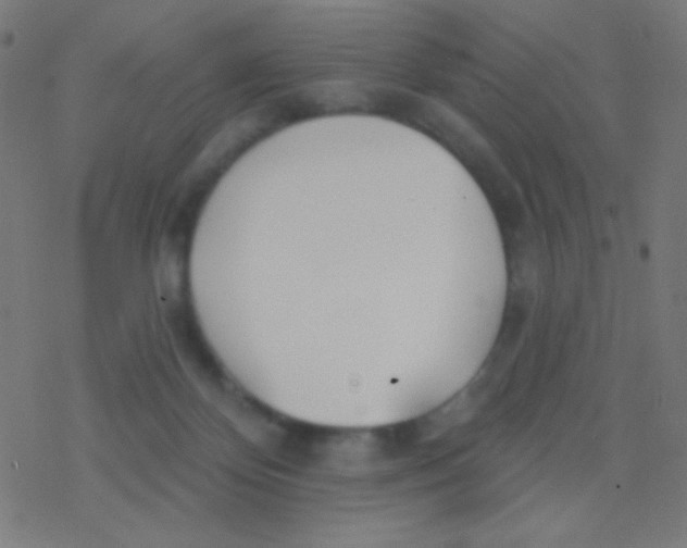 X0000077370124200611101714