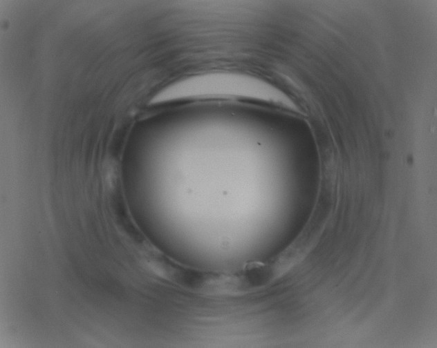 X0000077370125200611101714