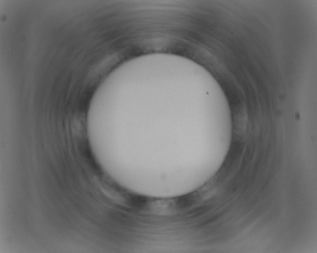 X0000077370126200611101714