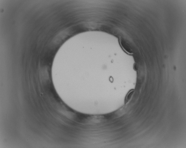 X0000077370128200611101714