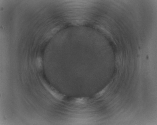 X0000077370130200611101714