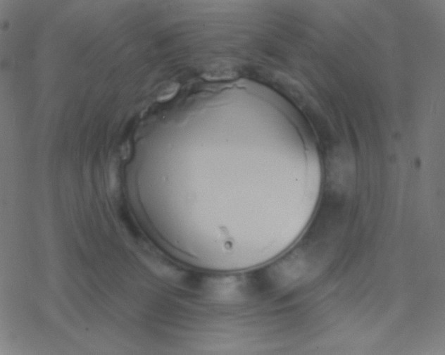 X0000077370131200611101714