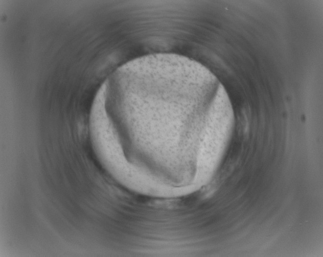 X0000077370134200611101714