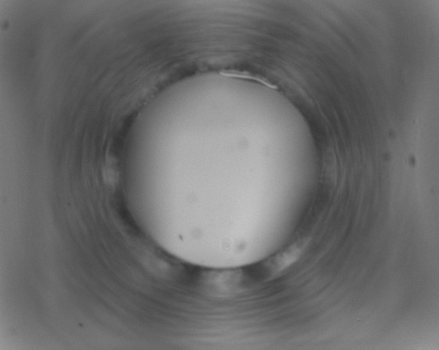 X0000077370135200611101714