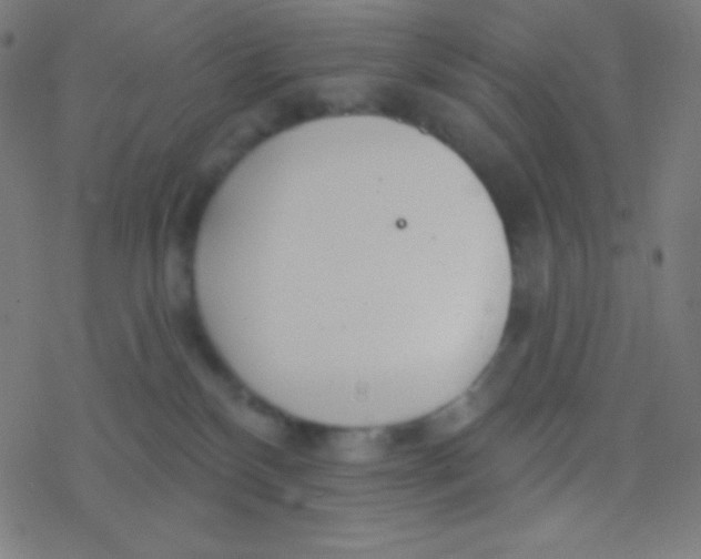 X0000077370136200611101714