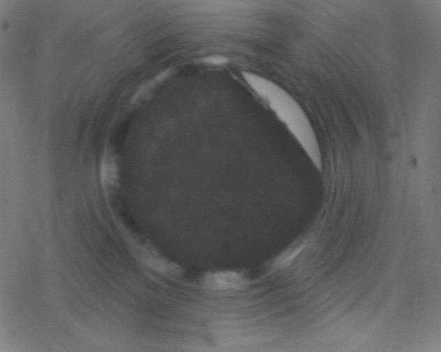 X0000077370137200611101714