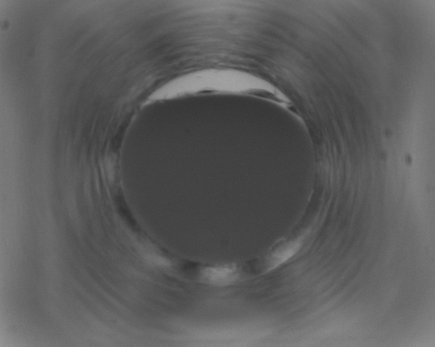 X0000077370139200611101713