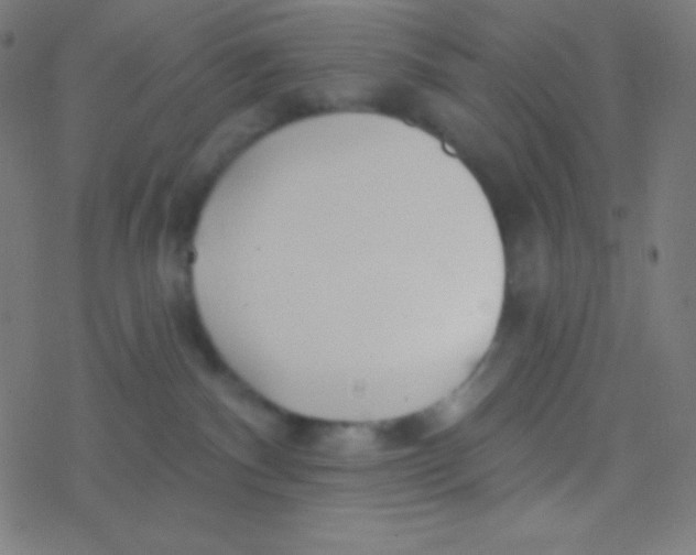 X0000077370140200611101713