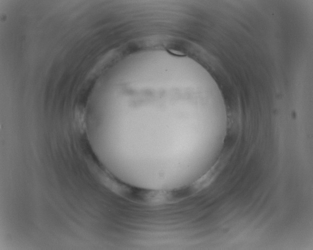 X0000077370142200611101713