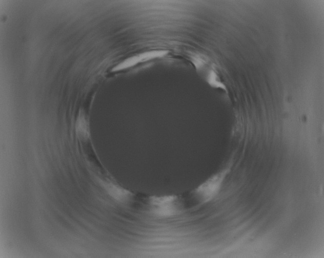 X0000077370143200611101713