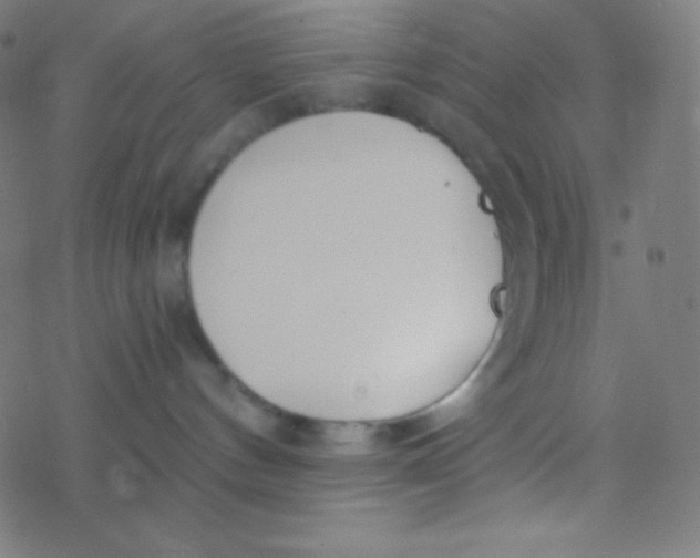 X0000077370144200611101713