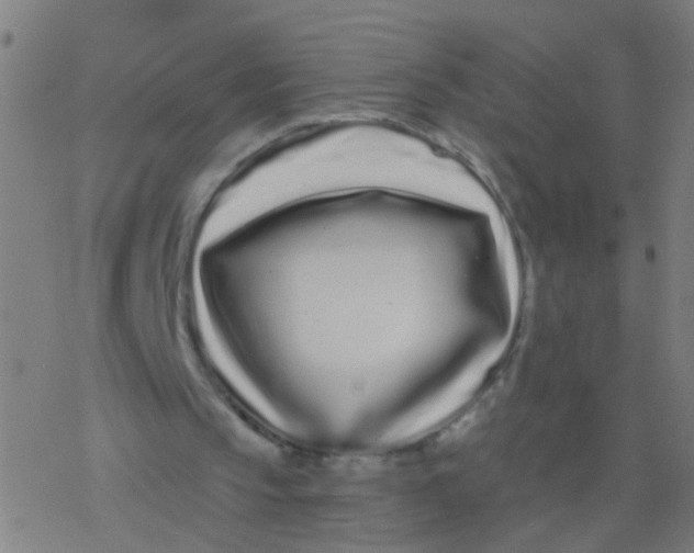 X0000077370145200611101713