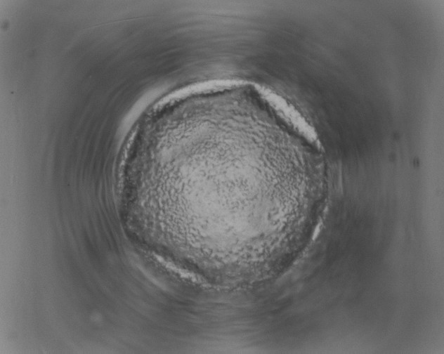 X0000077370147200611101713