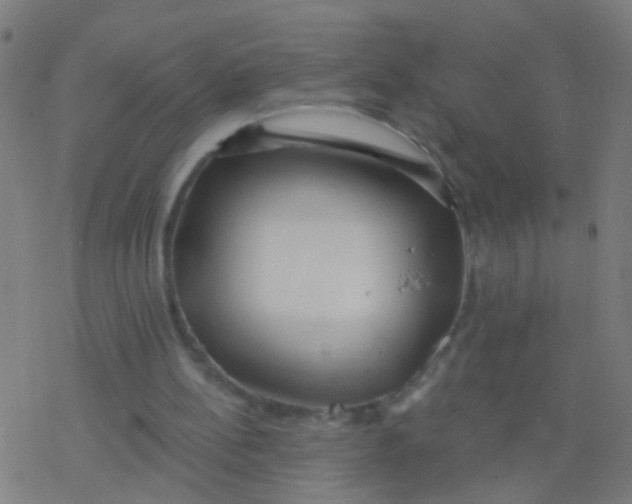 X0000077370148200611101713