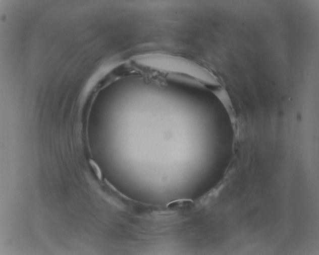 X0000077370150200611101713