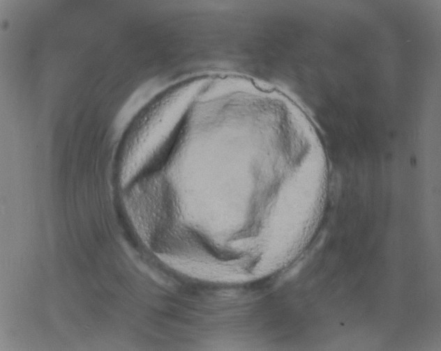 X0000077370151200611101713