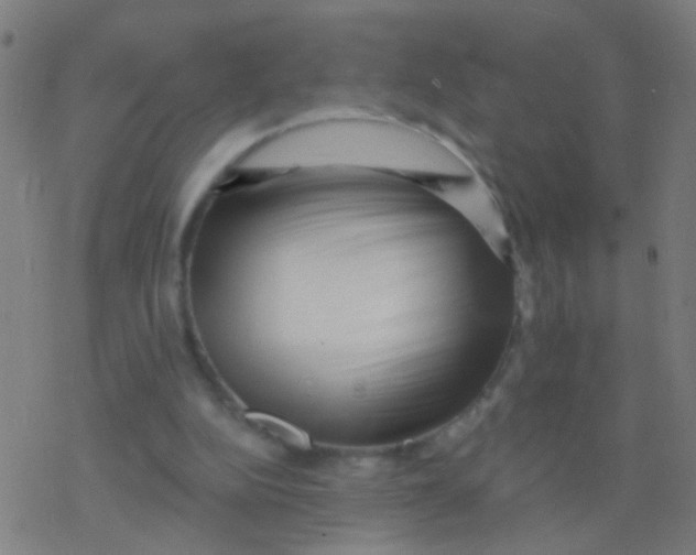 X0000077370152200611101713