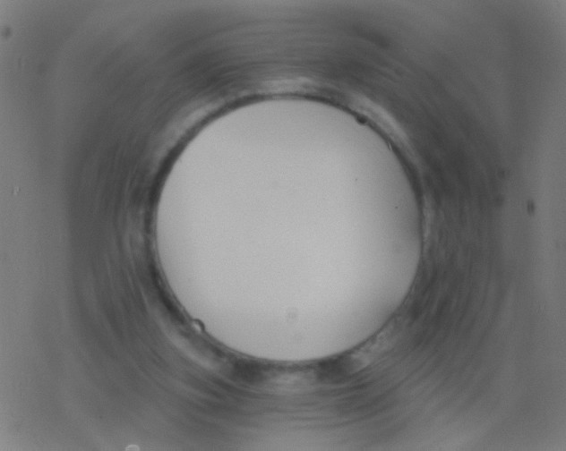 X0000077370155200611101713