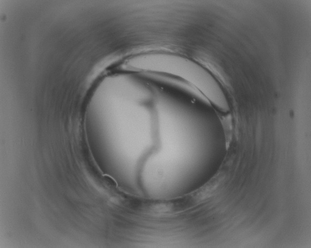 X0000077370156200611101713