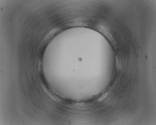 X0000077370157200611101713