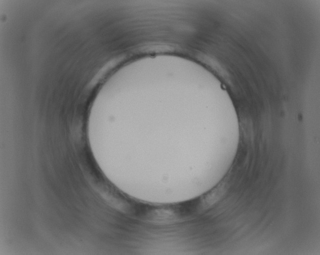 X0000077370159200611101713