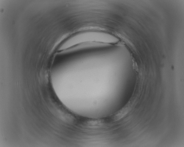 X0000077370160200611101713