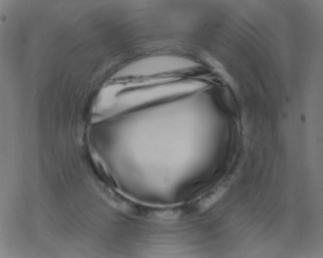 X0000077370161200611101713