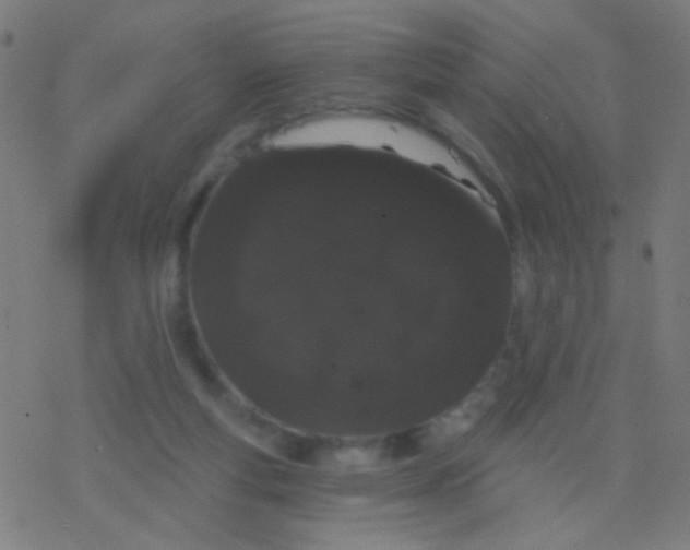 X0000077370163200611101713