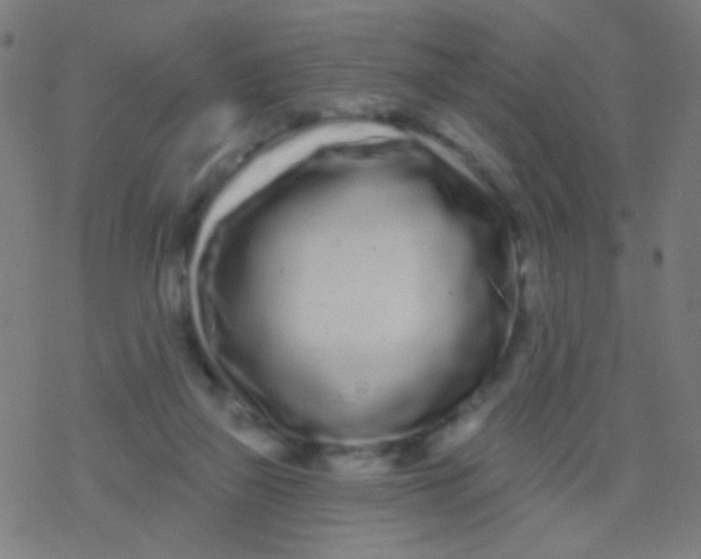 X0000077370165200611101713