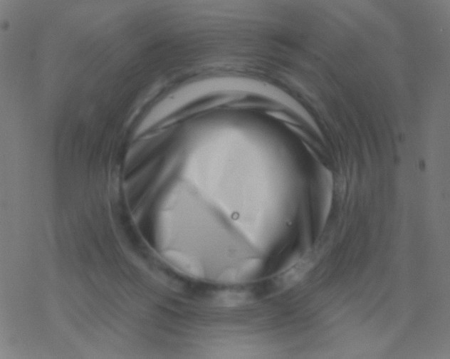 X0000077370168200611101713