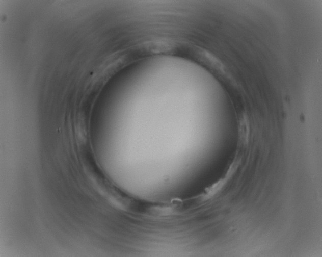 X0000077370170200611101713