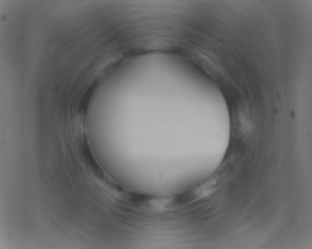 X0000077370172200611101713