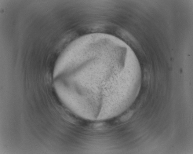 X0000077370173200611101713