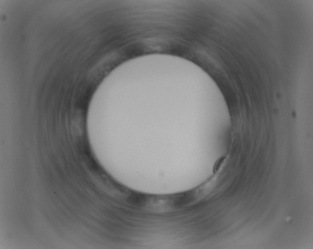 X0000077370174200611101713