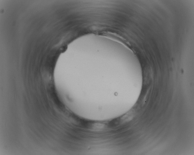 X0000077370176200611101713