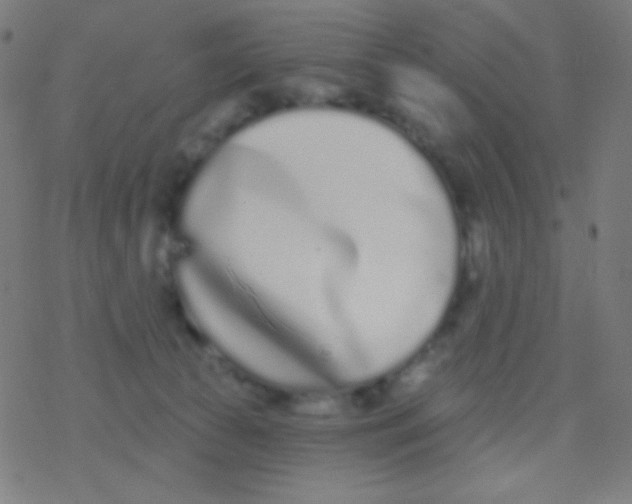 X0000077370177200611101713